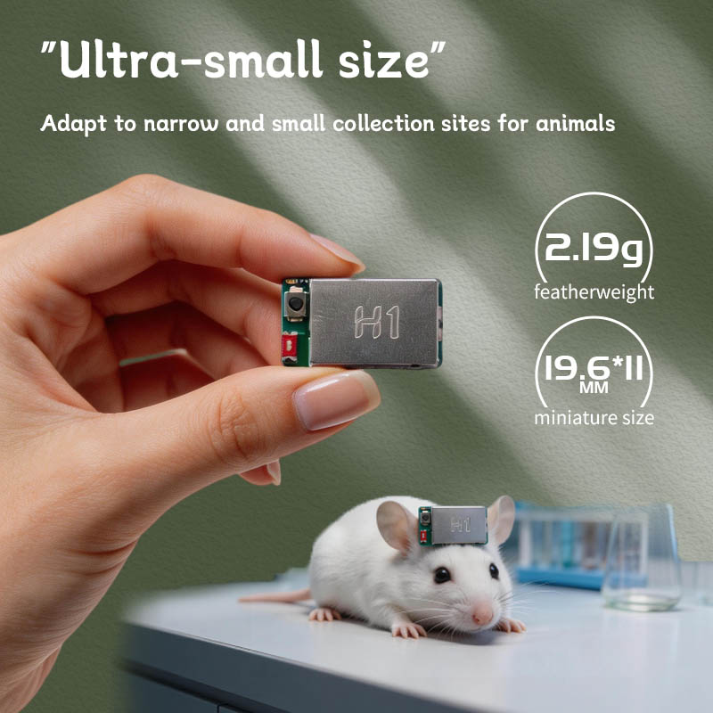 Modul Akuisisi EEG EMG H1 Sens - Muscle Sensor Emg ulasan dan harga